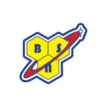 Логотип бренда BSN